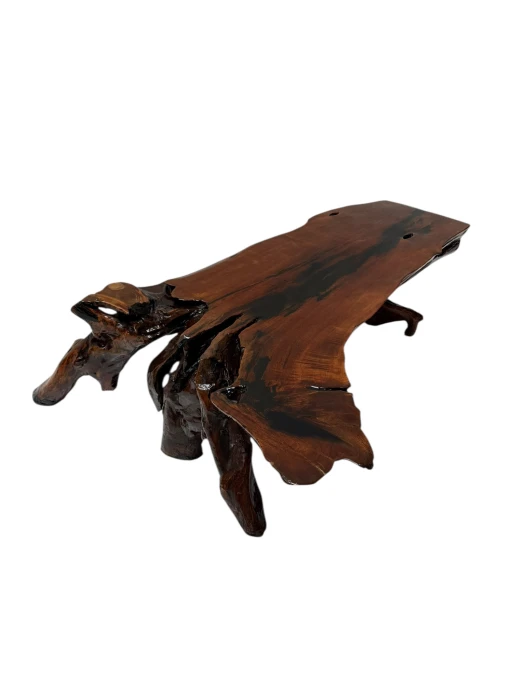 Organic Brutalist Large Tree Root Coffee Table, 1970s